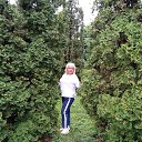 ���� �����, ����� - ��������� 22 ���� 2019 � ������ ���� ����������