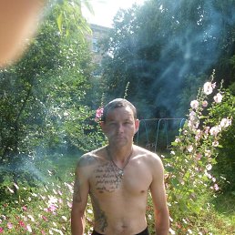 �������, ������, 36 ���