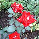 ���� ������, ��� - ��������� 3 ������ 2019