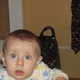 ���� �������, ������, 49 ��� - ��������� 1 ���� 2019