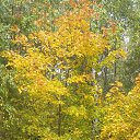 ���� ������, �����, 50 ��� - ��������� 18 �������� 2019 � ������ ���� ����������