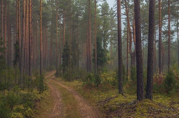 Boooa oa. aoa a aoa.