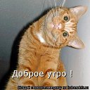 ���� ��������, ������, 56 ��� - ��������� 11 ���� 2019 � ������ ���� ����������