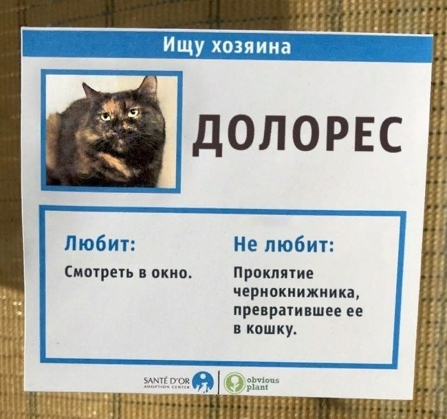       ,        - 3