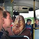 ���� �������, ������-���, 38 ��� - ��������� 8 ���� 2019