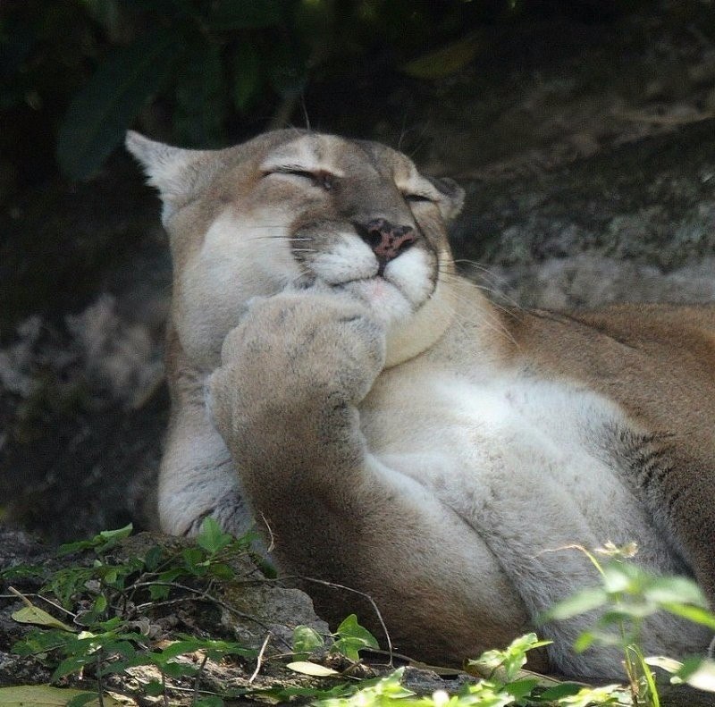 �������� �������! - 1 ������� 2019 � 19:45