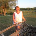  , , 68  -  29  2019   -2019