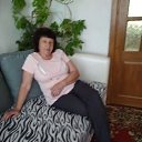 ���� ���������, ������, 71 ��� - ��������� 24 ���� 2019 � ������ ���� ����������