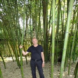 �������, �����, 60 ���