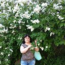 ���� �������, ������������, 52 ���� - ��������� 17 ���� 2019 � ������ ���� ����������