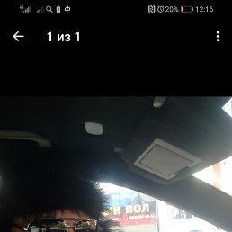 ���� ���������, �����������, 38 ��� - ��������� 15 ���� 2019