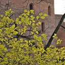 ... .... ... ....   ... .... ... ....