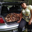 ���� �������, ��������, 42 ���� - ��������� 7 ������� 2019 � ������ ���� ����������