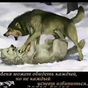 ���� Archi, ����������� - ��������� 9 ������ 2019 � ������ ���� ����������