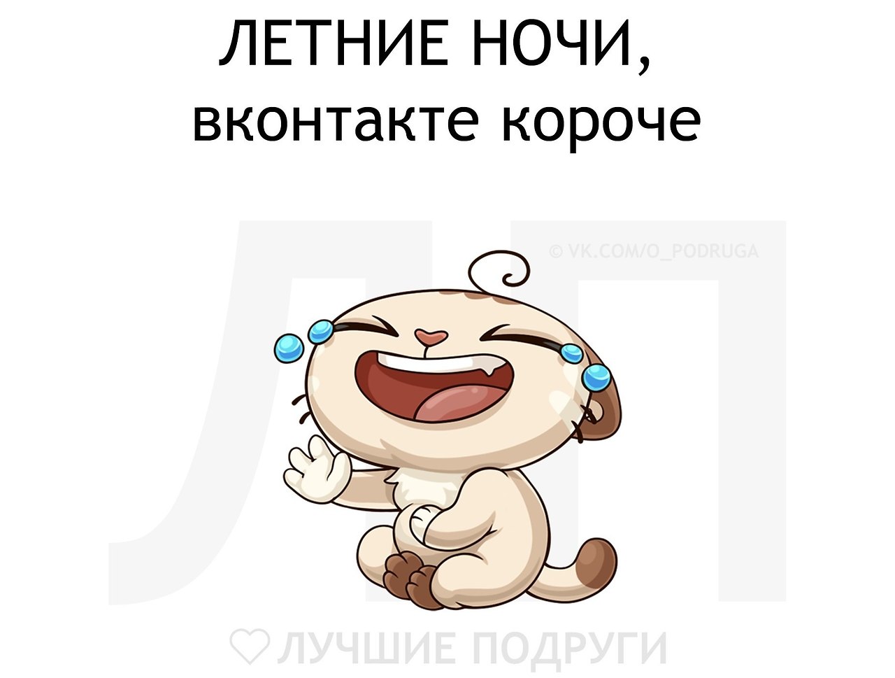   - 3  2019  03:38
