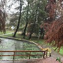 ���� Irina, ������ - ��������� 17 ������ 2019 � ������ ������-C�������-������� ������ 2019�