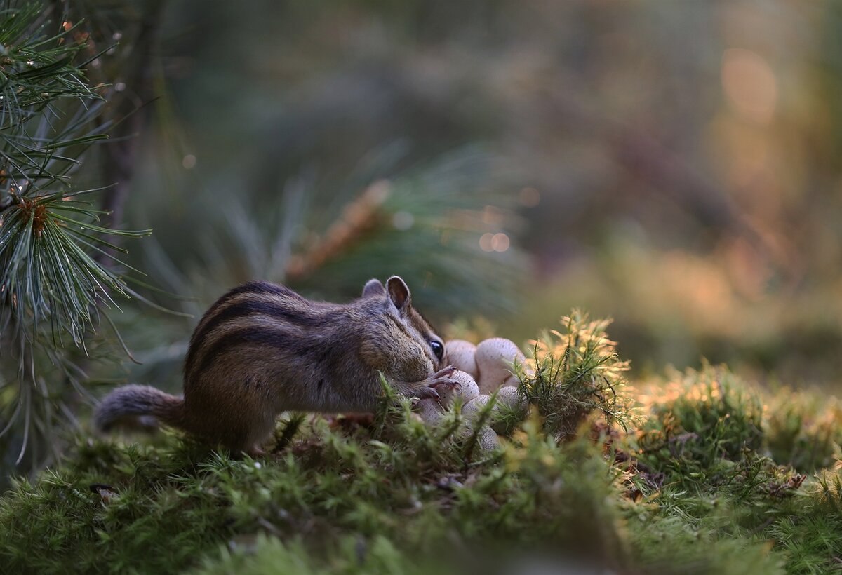 �������� �������! - 11 �������� 2019 � 07:55