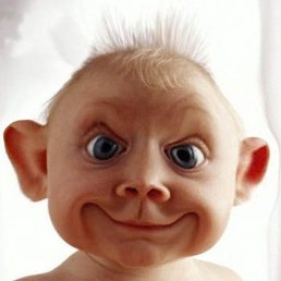 �����, �����, 40 ���