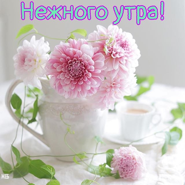   ,    . - 17  2019  21:40 - 2