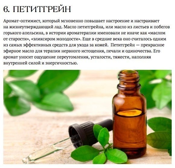 Запахи, которые взбодрят, успокоят и подарят радость.#полезное@ican - 6