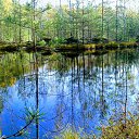 ���� ��������, ������� ��������, 65 ��� - ��������� 10 ���� 2019 � ������ ������ ��������