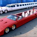 ���� ����, �����������, 41 ��� - ��������� 8 ������ 2019 � ������ ������ ��������