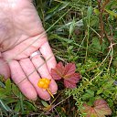 ���� Olga, ������������ - ��������� 17 ������� 2019 � ������ ���� ����������