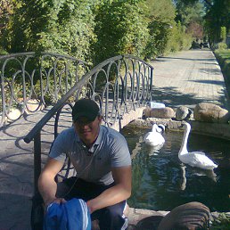 Aziz, �����, 37 ���