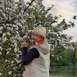 �������, �������, 50 ���