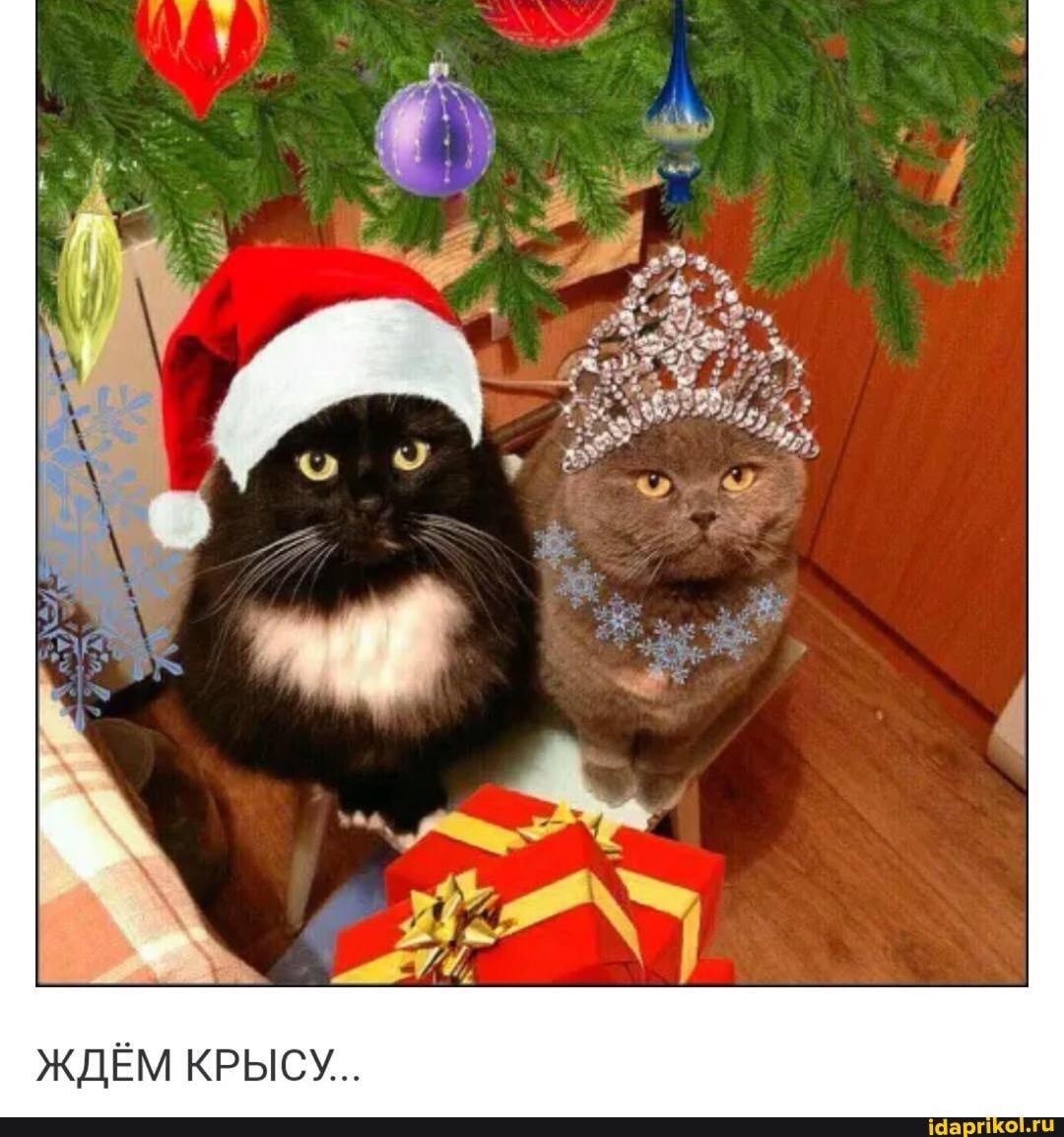  ,     !!!!!   ,   !