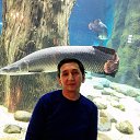 ���� �����, ������, 53 ���� - ��������� 21 ������� 2019 � ������ ���� ����������