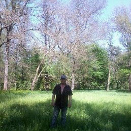 ����, ���������, 67 ���