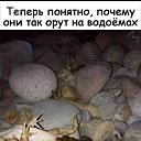 ���� ������, ����, 66 ��� - ��������� 7 ������� 2019 � ������ ������ ��������