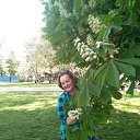 ���� ������, �����������, 68 ��� - ��������� 12 ���� 2019 � ������ ���� ����������