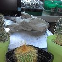 ���� ������ �������������, ������, 53 ���� - ��������� 17 ���� 2019 � ������ �������