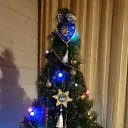  ,   , 47  -  25  2019    