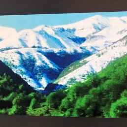 �����, ������, 52 ����