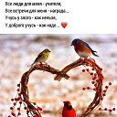 ���� Nonna, ��������, 59 ��� - ��������� 31 ����� 2019