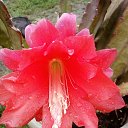 ���� Vidoje, �������, 61 ��� - ��������� 17 ������ 2019 � ������ ������ ��������