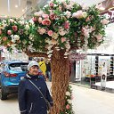 ���� ��������, ����������� - ��������� 3 ��� 2019 � ������ ���� ����������
