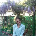 �����. �� ������� ���� ����������