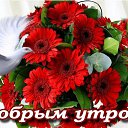 ���� ������, �����-���������, 73 ���� - ��������� 1 ������� 2019 � ������ ������ ��������