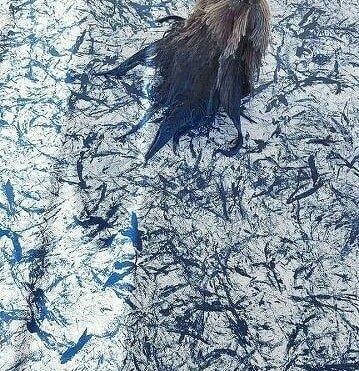 #@sewing_school.       ... - 7