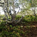 ���� ����, ����-���������, 67 ��� - ��������� 27 �������� 2019 � ������ ������ ��������