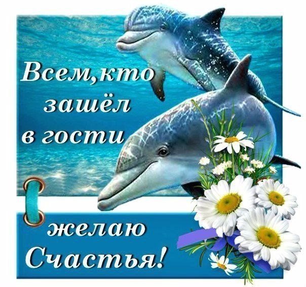   - 3  2019  17:14