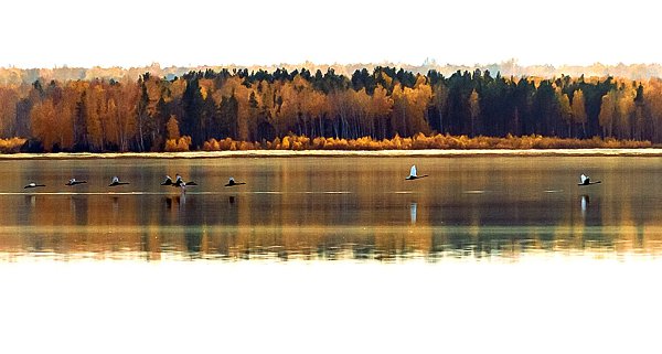 ��! ������� ��� ����-������!