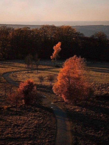 ��������, ����������, ������. ������� ������ ����� - 5