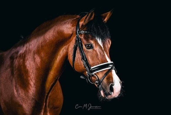 ������ - ��� ��� ���! - 27 �������� 2019 � 01:56