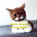 ���� ����, ��������� - ��������� 4 ������� 2019 � ������ ���� ����������
