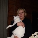 ���� ����, ������-���������, 46 ��� - ��������� 11 ������� 2019 � ������ ���� ����������